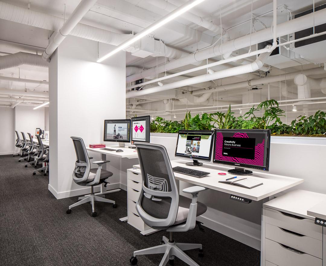 Open workstations beside the living planter wall