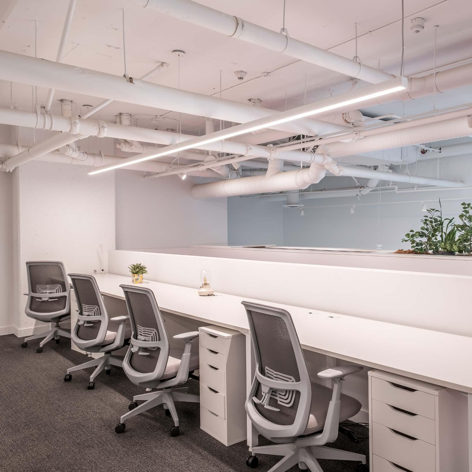 Window-side workstations with natural light all day